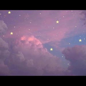 Meet your Posher, Connie